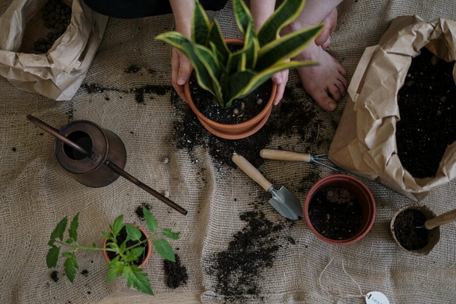 A serene scene of home gardening with potted plants and tools on a burlap mat. (Photo by cottonbro studio on Pexels)