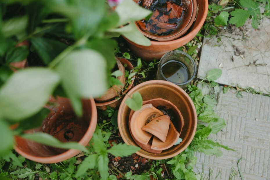 Overhead view of broken clay pots surrounded by plants and greenery. (Photo by Yaroslav Shuraev on Pexels)