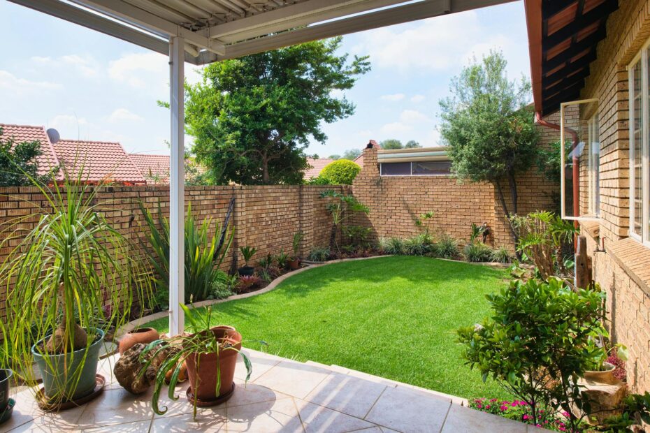 Explore a sunny brick-walled backyard garden in Pretoria, South Africa, showcasing lush greenery ... (Photo by Alexander F Ungerer on Pexels)